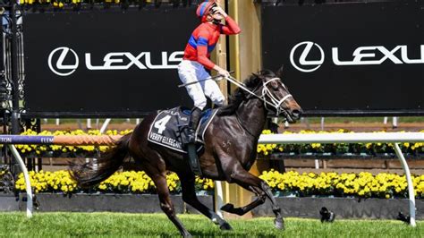 Melbourne cup prize money The Melbourne Cup Trophy is worth a staggering $250,000 on top of the other $14 million in prize money