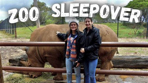 Melbourne zoo sleepover review 50 per month or $138 per year