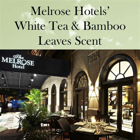 Melrose hotel's white tea & bamboo leaves 