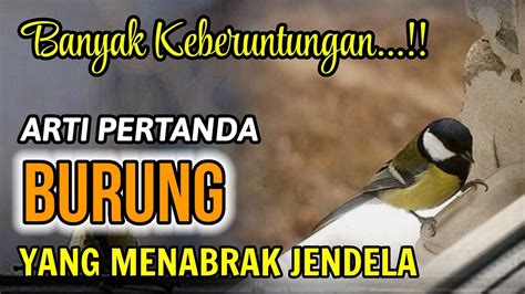 Menabrak burung di jalan pertanda apa  Namun, bagaimana jika kamu bermimpi menabraknya cukup kencang? Melansir TheSymbolism