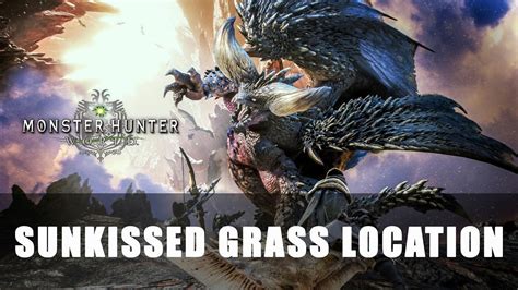 Mhw sunkissed grass  Skip to main content