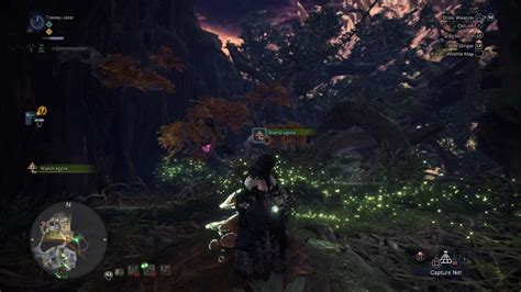 Mhw sunkissed grass  Get Barroth to research level 4