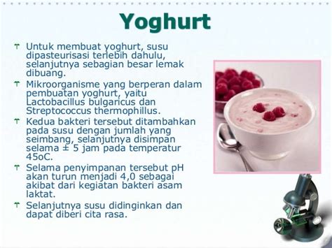 Mikroorganisme yang berperan dalam pembuatan yoghurt Feb 2, 2023 ·   Proses pembuatan yoghurt dilakukan oleh dua jenis bakteri yaitu Lactobacillus bulgaricus dan Streptococcus thermophilus