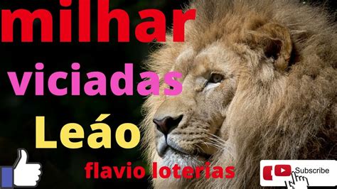 Milhar do leão LOTERIA POPULAR DO RECIFE: 11:00: PORCO MACACO LEÃO VEADO 2569 9467 5863 5896: MONTE CARLOS: 10:00: