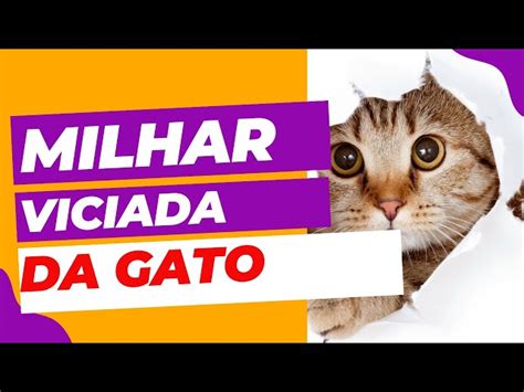 Milhar do vaca  Qual o número do peru no jogo de bicho? O peru faz parte do grupo 20 (vigésimo grupo) do jogo do bicho de um total de 25 bichos que compõem a tabela do jogo do bicho