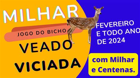 Milhar viciada do peru milhar viciada do peru; milhar viciada do coelho; Mais uma curiosidade que tem um tanto de machismo e mesmo assim é expressado atualmente é o número 24 para pessoas que tem um relacionamento homoafetivo, formalizando a comparação com o animal veado que existe na lista do jogo do bicho