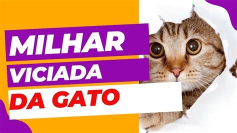 Milhar viciada gato  No entanto muito visto pelo povo brasileiro não é legalizado então assim a maioria dos brasileiros