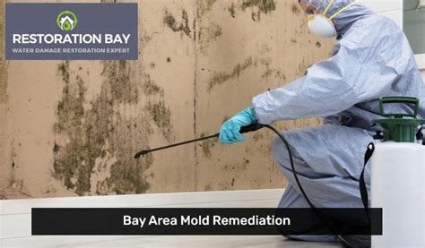 Milpitas mold remediation  Call today! Welcome To All US Mold Removal Milpitas: Over 3 Years Of Mold Removal Experience (669) 306-4632