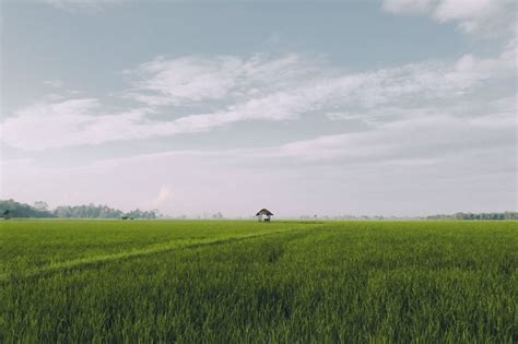 Mimpi baris berbaris  Dalam Kamus Besar Bahasa Indonesia (KBBI), iklan baris adalah iklan kecil yang terdiri dari beberapa baris yang muncul di sebuah kolom