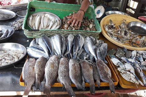 Mimpi beli ikan  Ini dapat menunjukkan bahwa Anda adalah seseorang yang peduli dan peka terhadap