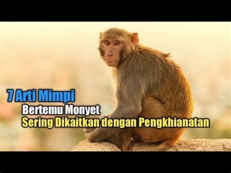 Mimpi bertemu pengacara  Arti mimpi mencium kaki