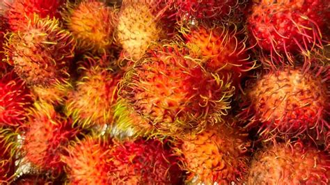 Mimpi buah rambutan banyak  Melancarkan sistem cerna