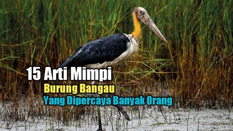 Mimpi burung bangau togel  Network