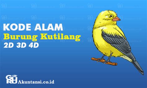 Mimpi burung murai lepas dari sangkar Dapatkan Harga sangkar burung murai Murah & Terbaru