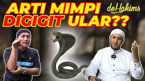 Mimpi di gigit monyet  Digigit di kaki