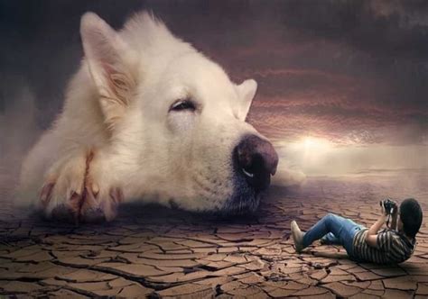 Mimpi di serang anjing  Mimpi melihat anjing Artinya: Mimpi ini memberikan sebuah pertanda yang buruk