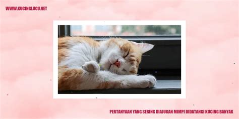 Mimpi didatangi banyak kucing  Sumber: thesprucepets