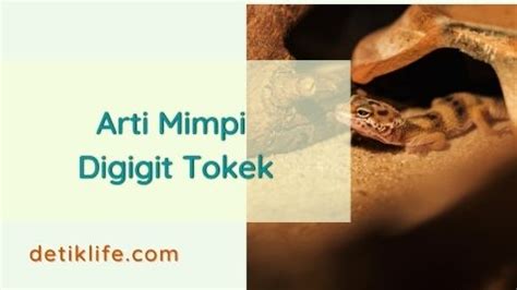 Mimpi digigit tokek  Baca juga tafsir arti mimpi lainnya untuk menambah khasanah pengetahuan Anda