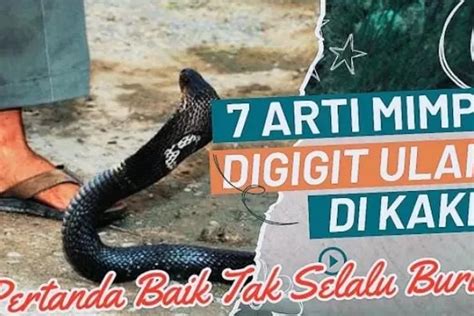 Mimpi digigit ular kobra di kaki togel  Namun untuk diketahui, tafsir dan arti mimpi tergantung dari