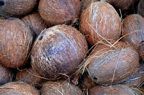 Mimpi dikasih 2 buah kelapa tua Inilah tafsir dari ssrti mimpi diberi buah kelapa, ulasan tentang arti dan makna ssrti mimpi diberi buah kelapa dalam kehidupan sehari-hari manusia hanya di website TafsirMimpi