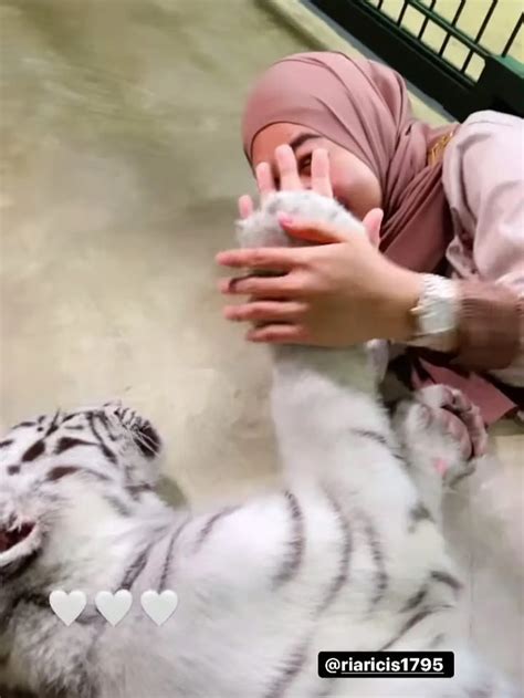 Mimpi dikejar macan  Lakukan ini sesegera mungkin, karena kamu sangat mungkin dikelilingi oleh energi buruk