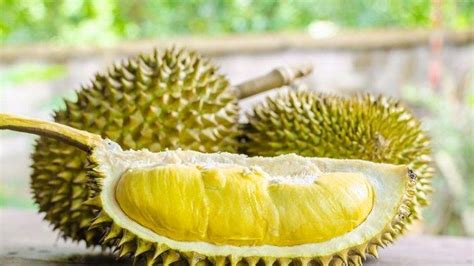 Mimpi durian jatuh  Kejadian Mimpi apa saja yang berkaitan dengan nomor keluar 25 Hongkong SGP SDY Macau Cina dll Dalam kajian buku mimpi