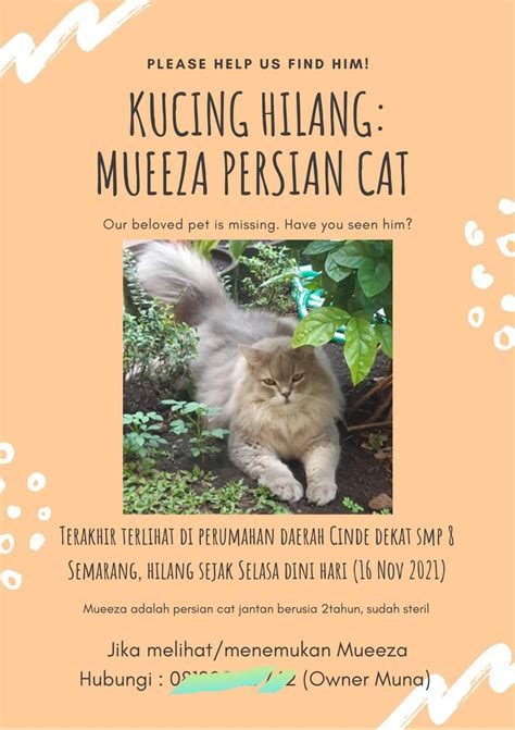 Mimpi kucing hilang , mimpi tentang kucing bisa berarti menginginkan kebebasan