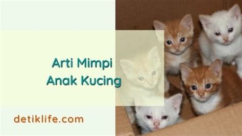 Mimpi kue 