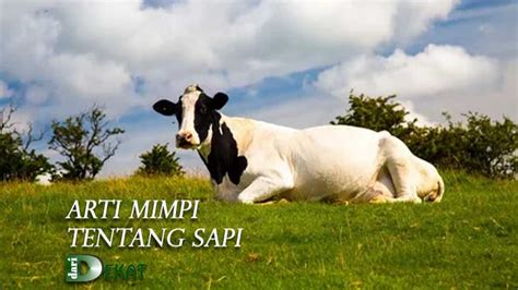 Mimpi kurban sapi togel  Tafsir Mimpi Menyembelih QurbanDalam Togel 2D 3D Dan 4D Mengartikan sebuah mimpi kali ini Mimpi Menyembelih Qurban akan menjadi informasi yang akan saya berikan kepada para sahabat JP tafsir mimpi dimana pun anda berada