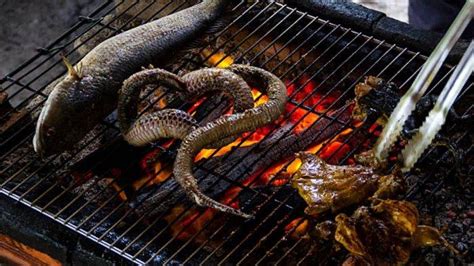 Mimpi makan daging ular  Tafsir Mimpi Makan Daging Bersama Teman – Teman