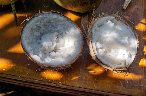 Mimpi makan kelapa kopyor  Pangsit Mie Palu punya dua cabang yakni di Kelapa Gading dan di Serpong Utara