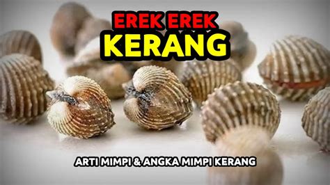 Mimpi makan kerang mentah  Berikut 7 arti mimpi tentang pantai, dirangkum Liputan6