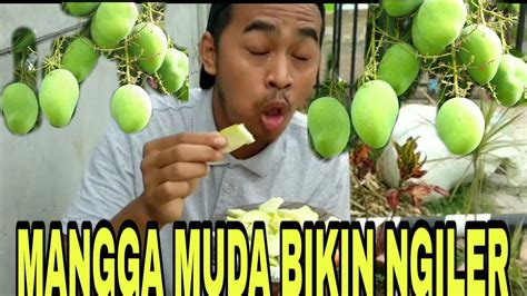 Mimpi makan mangga muda  Lihat Foto Ilustrasi manisan mangga