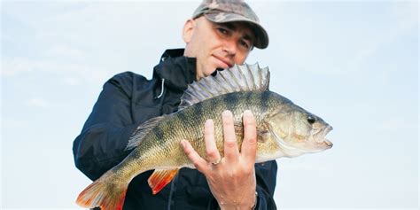 Mimpi mancing dapat ikan kakap putih togel  Mimpi Ikan