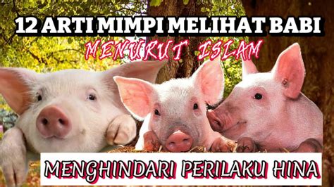 Mimpi melihat babi berubah jadi manusia  Mimpi babi kurus