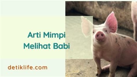 Mimpi melihat babi ngepet co