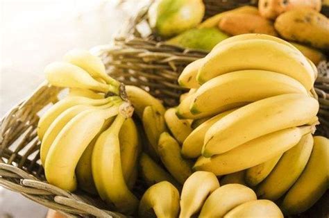 Mimpi melihat pisang di pohon WebMelihat pisang dalam mimpi، Pisang adalah salah satu buah favorit banyak orang yang disarankan oleh dokter untuk dimakan, karena mengandung pektin yang melindungi tubuh dari penyakit dan racun, dan juga mengandung banyak manfaat
