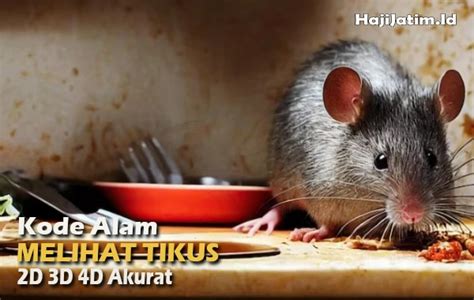 Mimpi melihat tikus mati  3D = 061 – 784