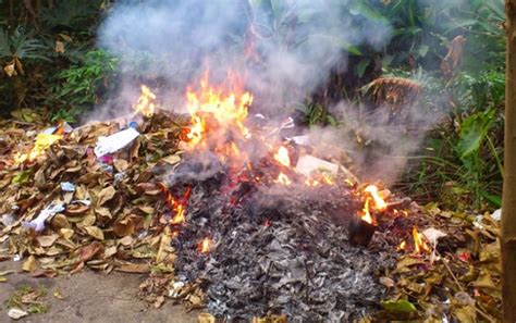 Mimpi membakar daun kering 