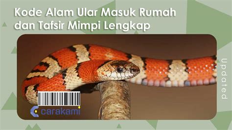 Mimpi menangkap berang berang togel  Untuk anda yang mengalami mimpi