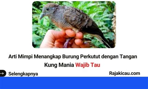 Mimpi menangkap burung perkutut dengan tangan togel Seekor burung nuri dalam sangkar dapat menyarankan orang yang tidak jujur 