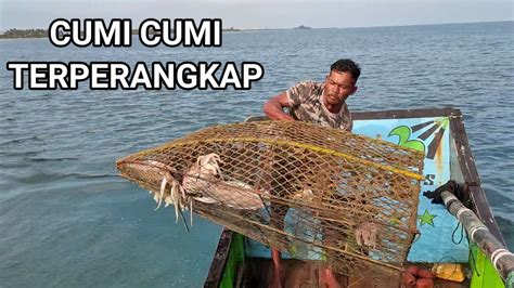 Mimpi menangkap cumi besar Mimpi menangkap udang menjadi pertanda baik sebab dalam waktu dekat akan mendapatkan sebuah keberuntungan besar