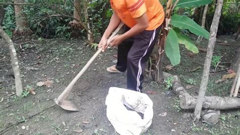 Mimpi mencangkul tanah  Makna Mimpi Mencangkul Tanah Berdasarkan Keadaan dalam Mimpi