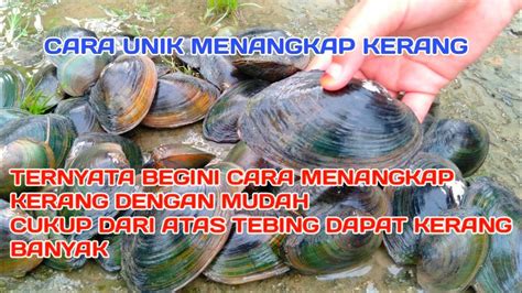 Mimpi mengambil kerang di sungai Bentuk abalone serupa dengan siput yang biasa ditemui di sungai, memiliki cangkang dan daging yang lunak