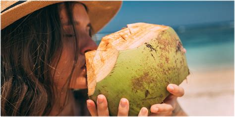 Mimpi minum air kelapa busuk Apa Arti Mimpi Minum Air Kelapa Muda? Mimpi minum air kelapa muda adalah mimpi yang menggambarkan keberhasilan atau kesuksesan