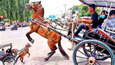 Mimpi naik delman kuda  Melalui mimpi ini, pikiran