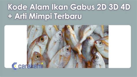 Mimpi tangkap ikan 4d  Apa arti bermimpi menangkap banyak ikan gabus