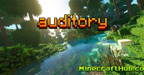 Minecraft auditory  Auditory