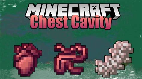 Minecraft chest cavity mod wiki Chest Cavity Mods 227,160 Downloads Last Updated: Dec 16, 2021 Game Version: 1