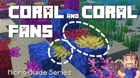 Minecraft coral fan  Coral reefs are usually located in warm ocean biomes and can be identified by their vibrant colors and unique underwater landscapes